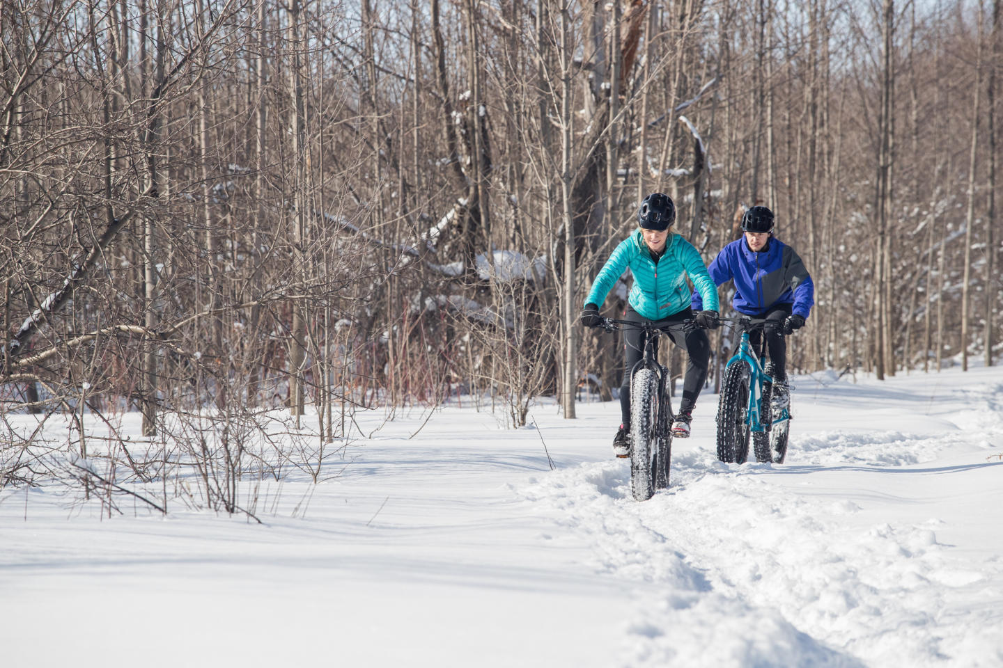 real fat bike