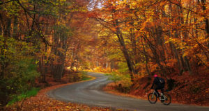 10 Reasons Why Cycling In Autumn Is Awesome
