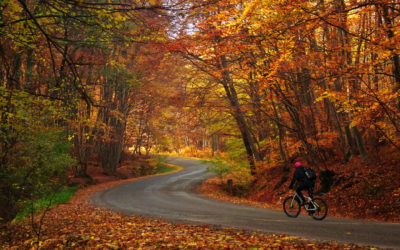 10 Reasons Why Cycling In Autumn Is Awesome