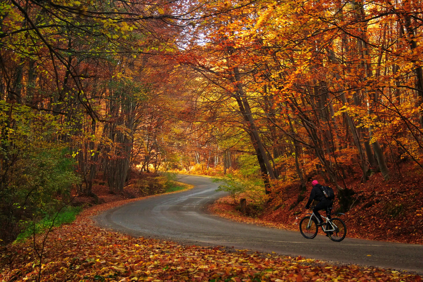 cycling trail app