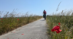 An epic cycling and sailing tour around the IJsselmeer: My adventure with the Elizabeth