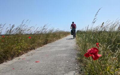 An epic cycling and sailing tour around the IJsselmeer: My adventure with the Elizabeth